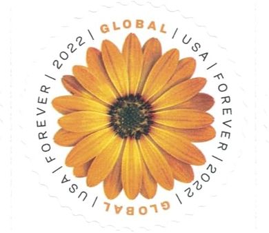 USPS Global Forever Stamps (20-pack)
