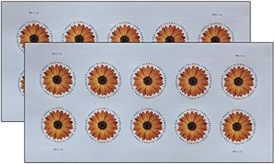 USPS Forever Stamps: African Daisy Wedding (20)
