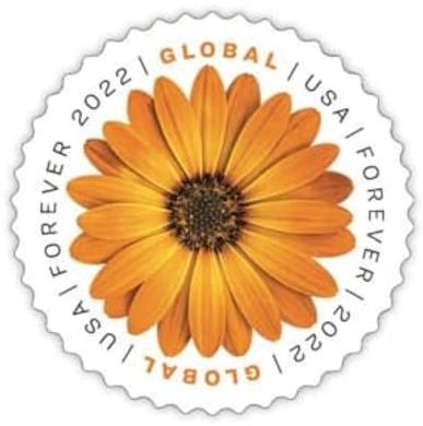 African Daisy Forever Stamps (2022, Sheet of 10)
