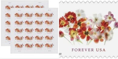 USPS Forever Tulips Stamps (40 stamps, 2 sheets)
