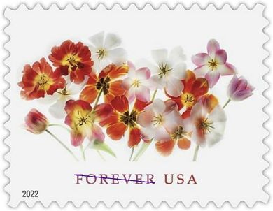 Tulips Postage Stamps: Invitations, Weddings, Celebrations (20/sheet)
