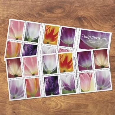 Tulip Blossoms Forever Stamps (2023, Book of 20)
