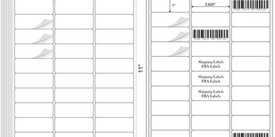 White Address Labels (900, 1"x2-5/8", 30/sheet, laser/inkjet)
