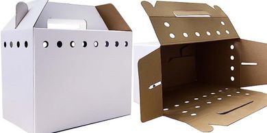 Eco-Friendly Cardboard Pet Carriers (12-Pack) for Small Animals
